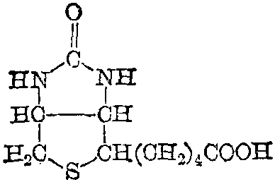 生物素结构图片